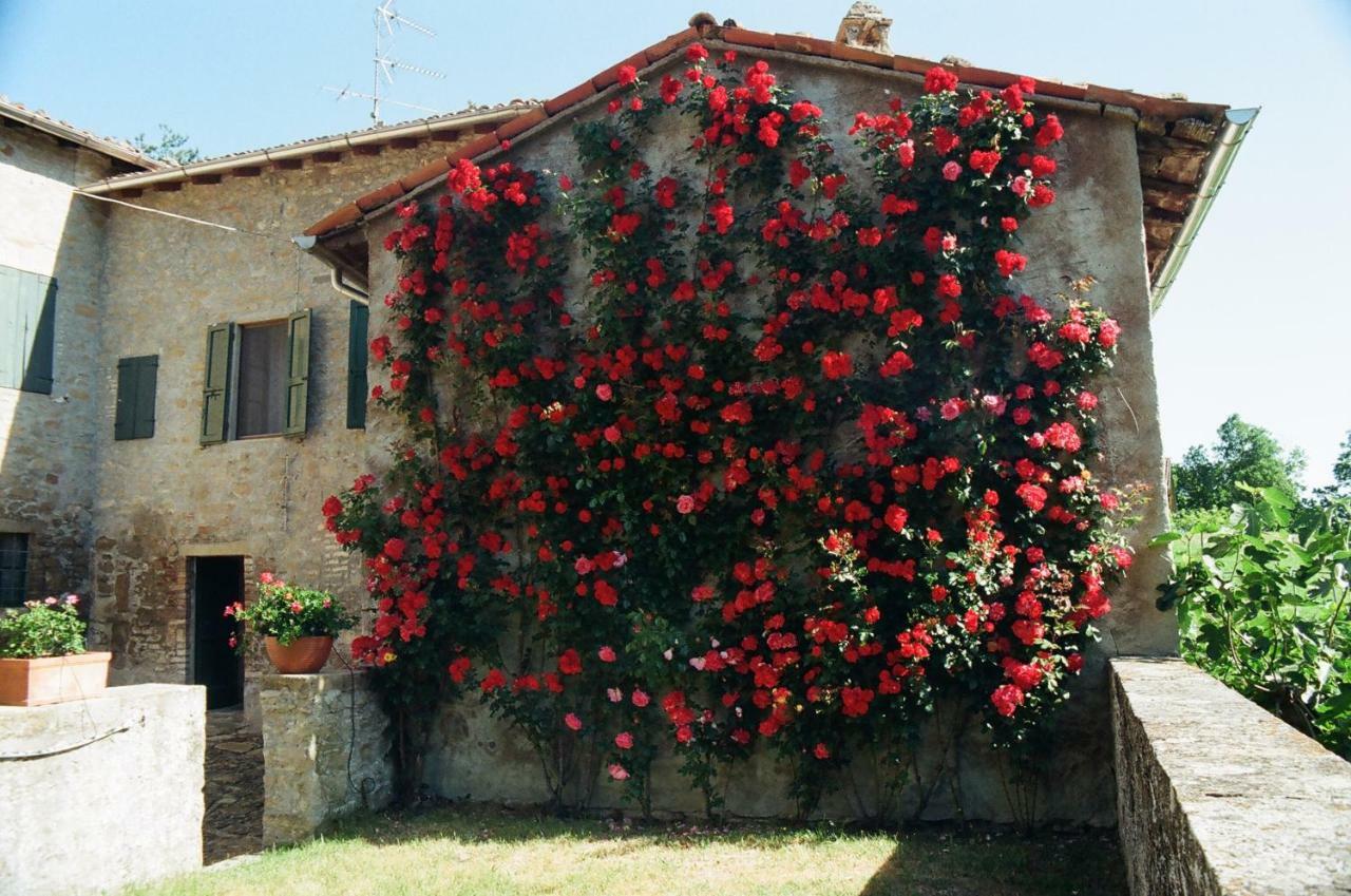 La Corte Bonomini Bed & Breakfast Neviano degli Arduini Exterior foto