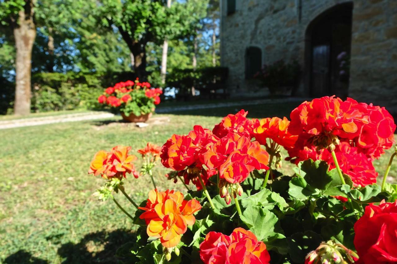 La Corte Bonomini Bed & Breakfast Neviano degli Arduini Exterior foto